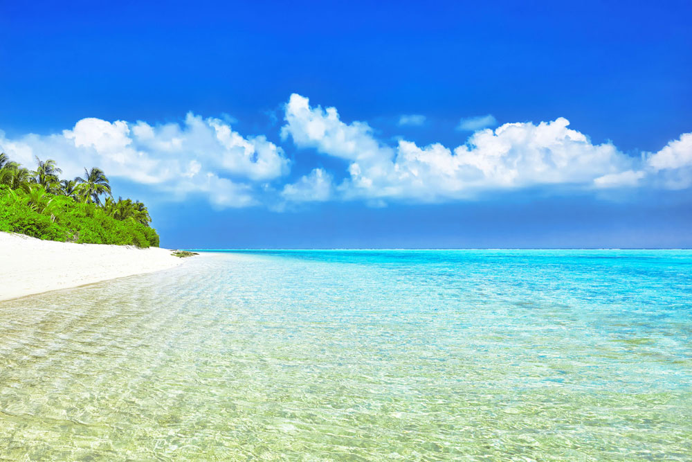 Sandalphon News Letters